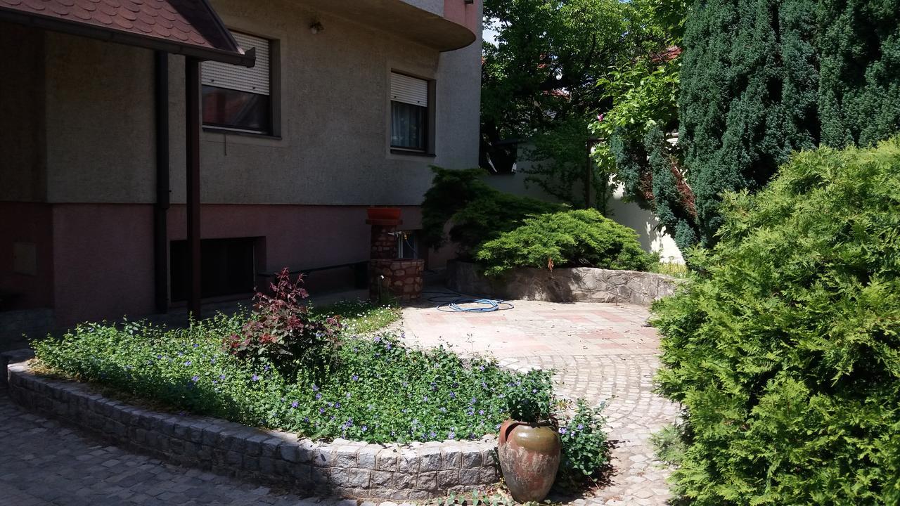 Guest House Stefanovic Вране Экстерьер фото