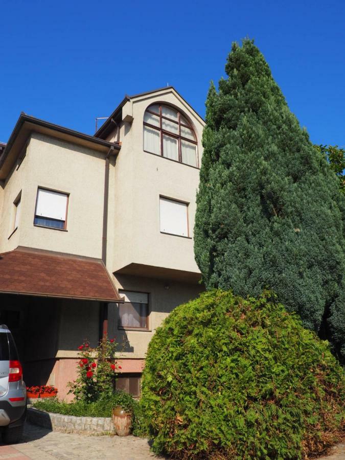 Guest House Stefanovic Вране Экстерьер фото