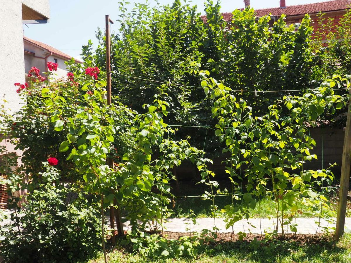Guest House Stefanovic Вране Экстерьер фото
