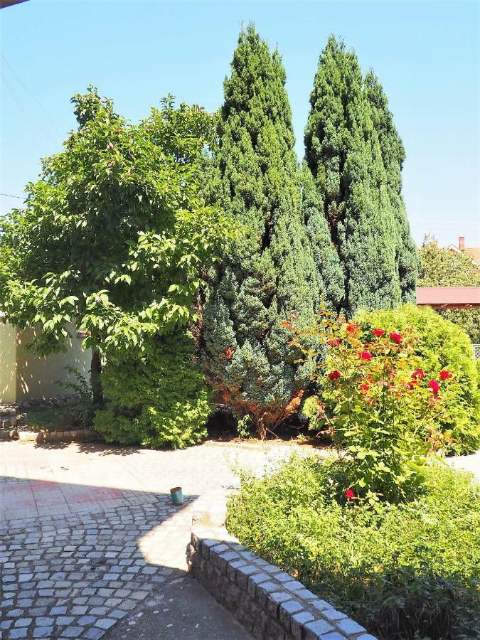 Guest House Stefanovic Вране Экстерьер фото